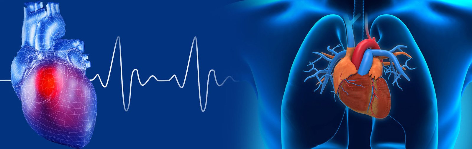 Cardiology